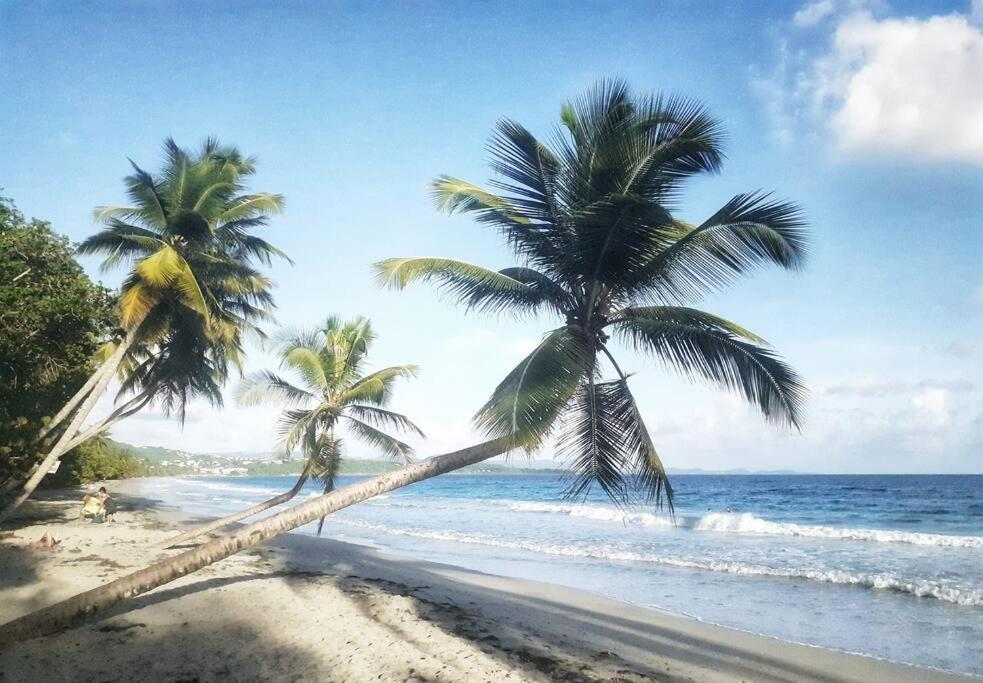 Superbe Studio, A 20 Metres De La Plage, Acces Direct Grande Plage Diamant Ле-Диаман Экстерьер фото